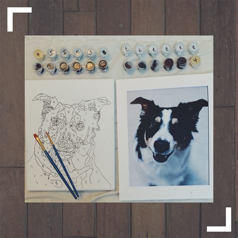 Custom Paint By Numbers Pet Portrait Kit Intermediate Etsy