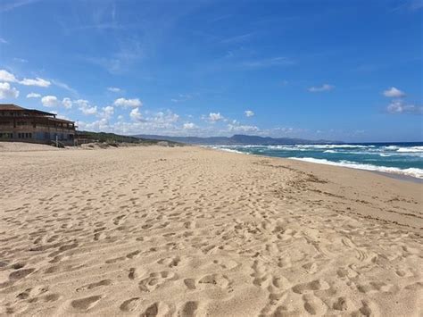 Spiaggia Li Junchi Badesi 2019 Ce Quil Faut Savoir Pour Votre