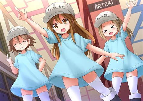 Hd Wallpaper Anime Cells At Work Platelet Cells At Work