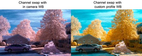 Custom Dng Tutorial For Setting A White Balance For Infrared