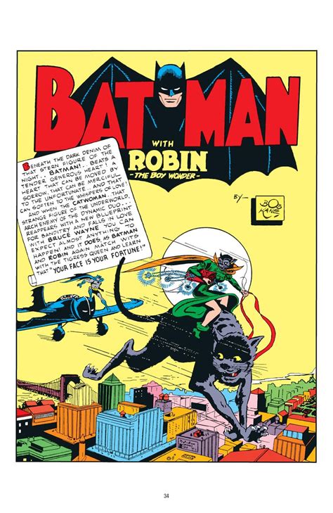 Read Online Batman The Bat And The Cat 80 Years Of Romance Comic