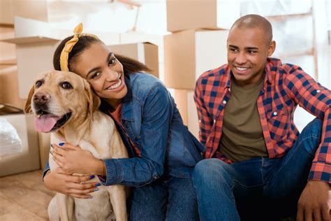 5 Tips For Moving With Pets How To Keep Pets Calm When Moving