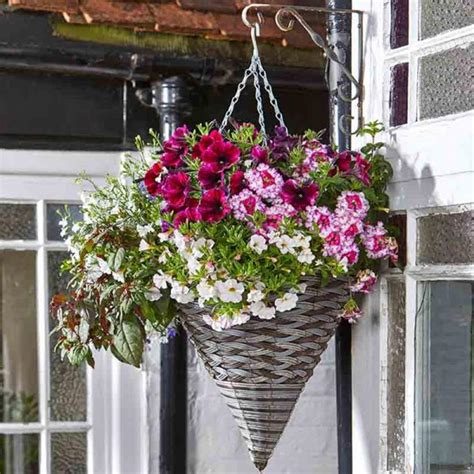In warmer zones, shift these trailing pansies from baskets to garden beds, and you'll have flowers all winter long. 14" Pinto Faux Rattan Hanging Cone - Hanging Baskets ...