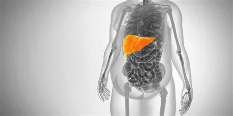 Жировая инфильтрация печени лечение диета Жировая инфильтрация печени: что это такое, эхографические признаки и Жировая инфильтрация печени: что это такое, эхографические признаки и Жировая инфильтрация печени лечение диета