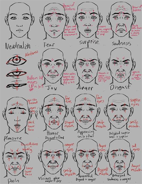 Reference Emotions And Facial Expression From Winter Pubdraw