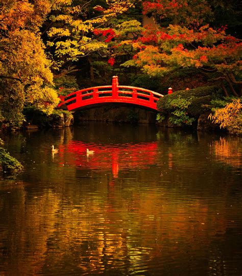 Japanese Garden Red Bridge Japanese Garden Famous Gardens Japanese
