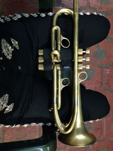 Brass Instrument Trumpets Trumpet Instrument