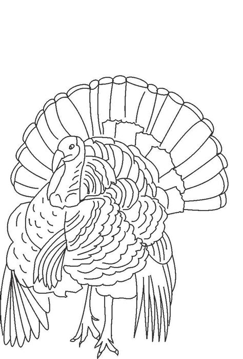 printable turkey coloring pages  kids