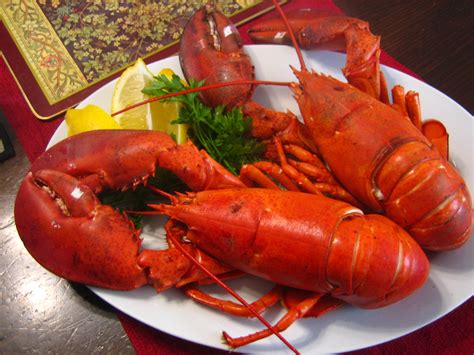 Recipes From 4everykitchen Steamed Nova Scotia Lobster