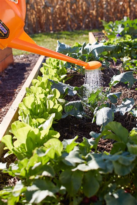 Garden structures garden paths garden landscaping formal gardens outdoor gardens modern gardens landscape design garden design garden how the other half garden. The Basics of Organic Gardening In Raised Garden Beds ...