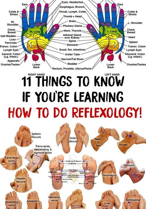 Learning 11 Things To Know If Youre Learning How To Do Reflexology Hand Reflexology