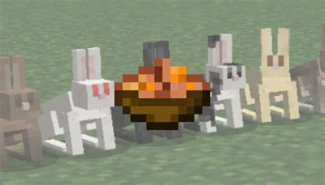 How To Make Rabbit Stew In Minecraft Touch Tap Play