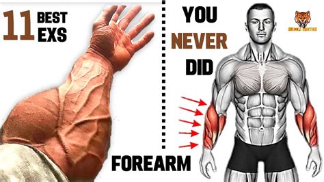 11 Best Exercises For Bigger Forearms That You Never Did At Gym Youtube