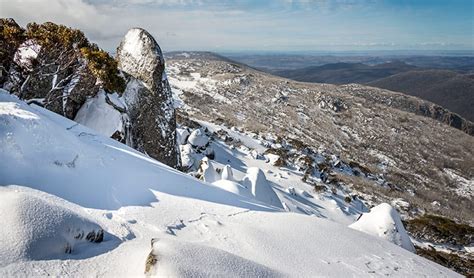 Choose a secluded cabin rental in snowy mountains and breathe in the fresh air, or perhaps a rustic cabin by the water is the dream. NSW alpine environments | NSW National Parks