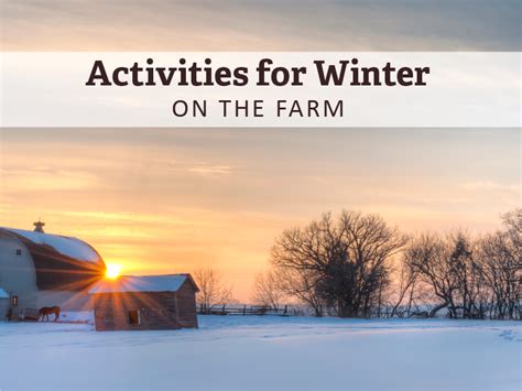 Activities For Winter On The Farm Hurdle Land And Realty Inc