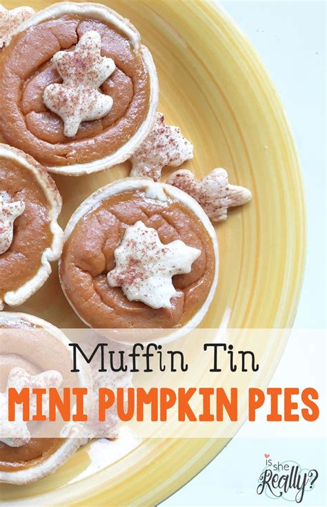 Muffin Tin Mini Pumpkin Pies Ginaekirk Mini Pumpkin Pies Pumpkin