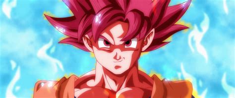 Dragon Ball Z Goku Super Saiyan God Mode