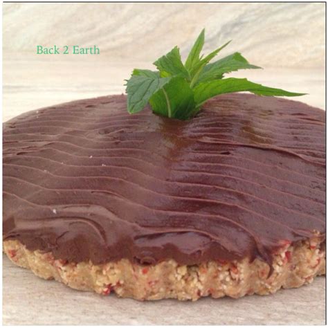 Ginger matcha is my jam! Back 2 Earth's guilt-free chocolate mint mousse cake ...