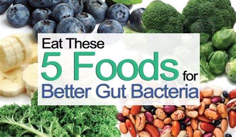 Eat These 5 Foods To Support Your Friendly Bacteria Live In The Now
