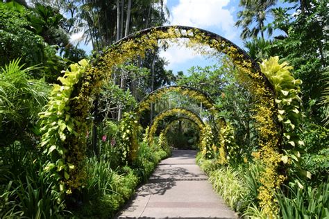 Gambar Rimba Botani Taman Flora Kebun Raya Singapore Kebun