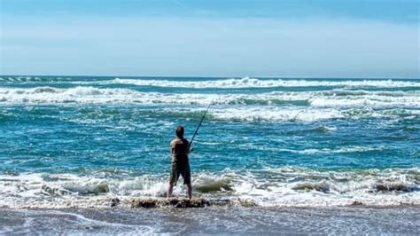 Best Surf Fishing Rod And Reel Combos Conquer The Shores
