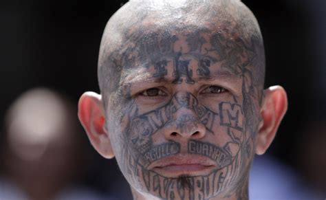 Eeuu Acusa A 13 Supuestos Líderes De La Mara Salvatrucha Ms 13 De