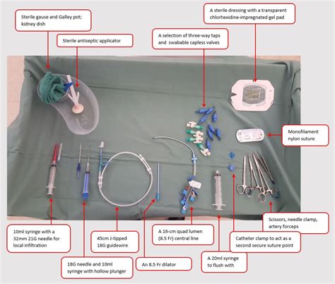 Parts Of Central Venous Catheter