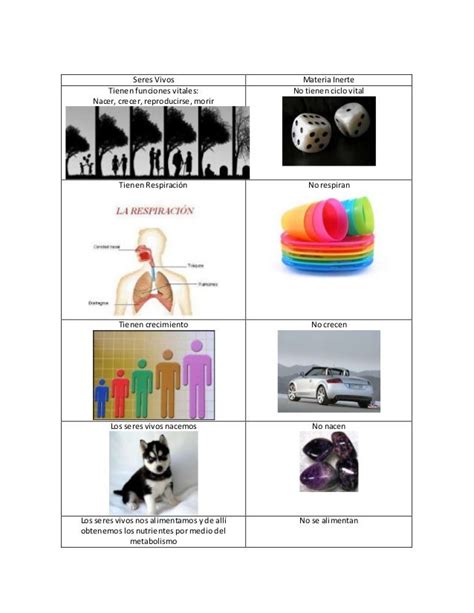 Seres Vivos Y Materia Inerte Cuadro Comparativo