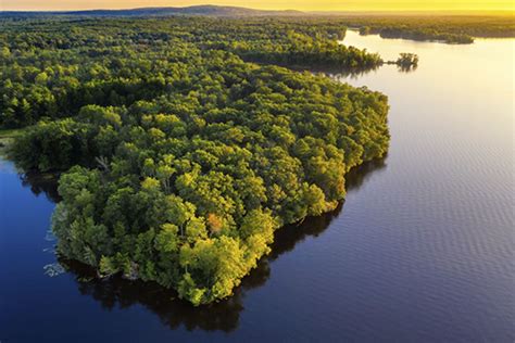Amazônia Conheça A Maior Reserva Natural Do Planeta