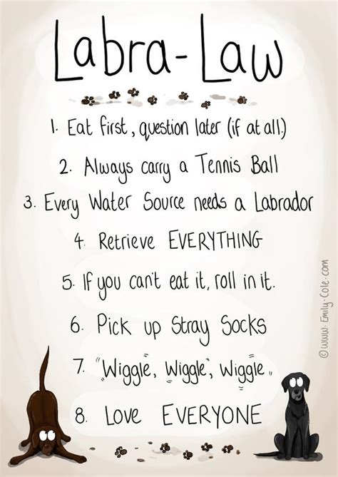 funny labrador dog quotes  sayings page     paws