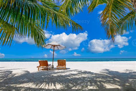 Tropical Beach Nature As Summer Landscape With Lounge Chairs And Palm