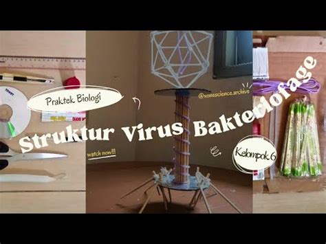 Alat Peraga Struktur Virus Bakteriofage Kelompok Youtube