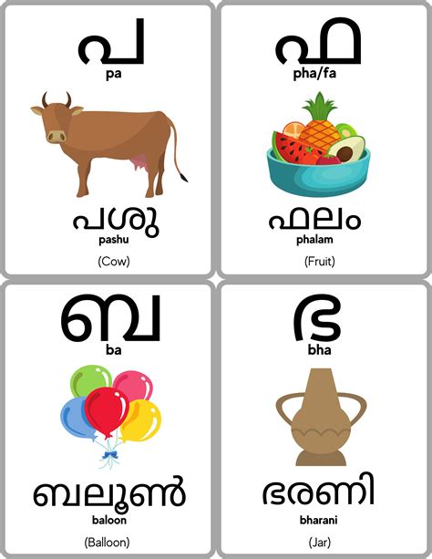 Malayalam Alphabet Flashcards Malayalam Consonants Learn Etsy