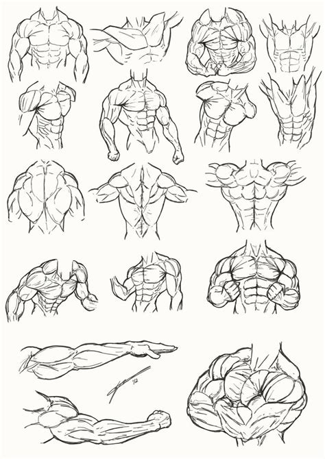 Human Anatomy Drawing Human Figure Drawing Guy Drawing Drawing Poses