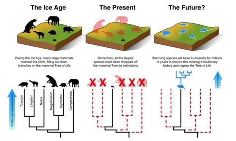 Mammals Cannot Evolve Fast Enough To Escape Current