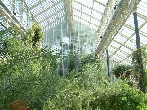 Im weitläufigen freigelände vom botanischen garten berlin erholen sich die kinder und eltern bei einem botanischen spaziergang duch die verschiedenen gartenanlagen. Standort Botanischer Garten - Berlin.de