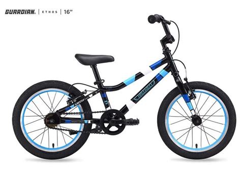The 10 Best 16 Inch Bikes For Kids Aged 4 To 6 In 2020