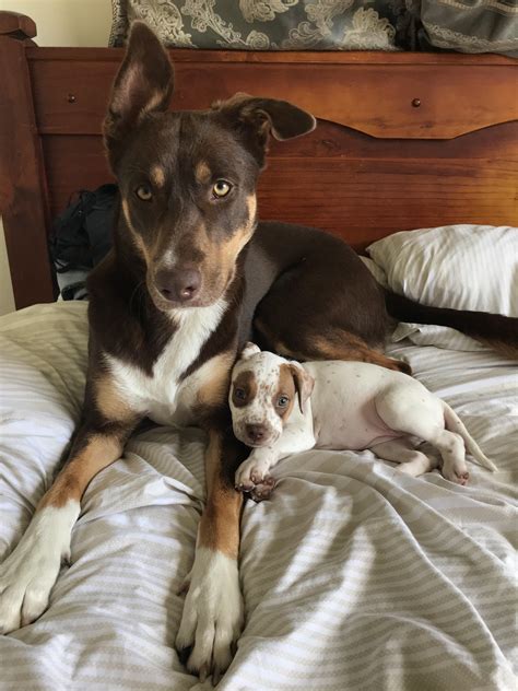 I think they’ve warmed up to each other quite nicely.. Look at that paw