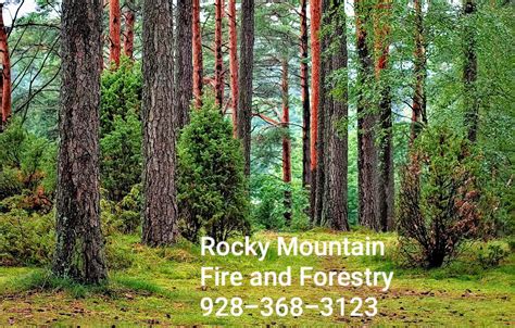 Rocky Mountain Fire And Forestry