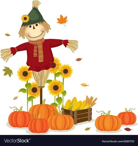 Autumn Harvesting With Cute Scarecrow And Pumpkins Vector Image On 가을