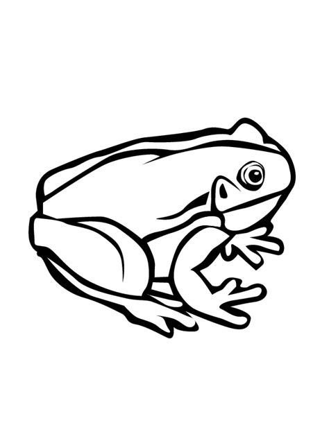 Kids Page Tree Frog Outline Clipart Panda Images Coloring Pages