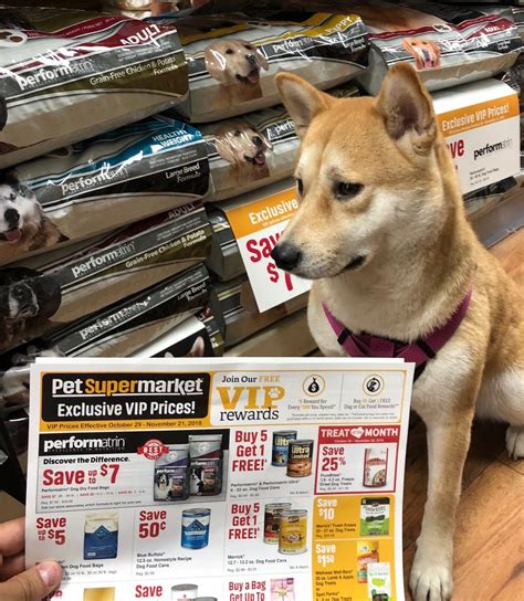 Wexford health sources, the nation's leading innovative correctional health care company, provides clients with experienced management and technologically advanced services, combined with programs that control costs while ensuring quality. Pet Supermarket | Pet supermarket, Pets, Healthy pets