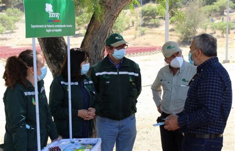 Lanzan campaña para prevenir incendios forestales en Hijuelas