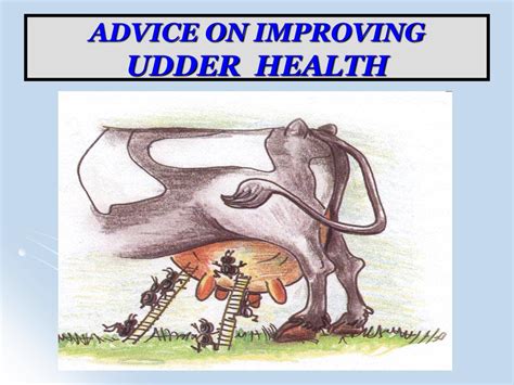 Ppt National Service For Udder Health And Milk Quality Powerpoint