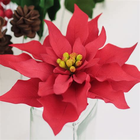 Sep 15, 2021 · christmas plants and flowers add a special warmth at the holidays, and they're not all destined to end up in your compost bin at the end of the month. Online Class Traditional Christmas Flowers - Immaculate ...