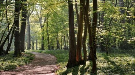 Nottinghamshire Outdoor Sex May Lead To Closure Bbc News