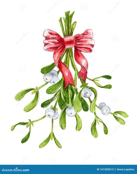 Mistletoe Christmas Bunch With A Red Ribbon Watercolor Illustration