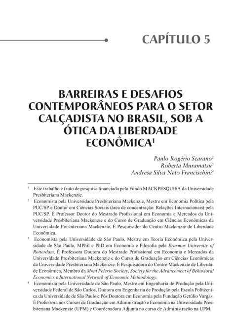pdf barreiras e desafios contemporâneos para o setor calçadista no brasil sob a Ótica da