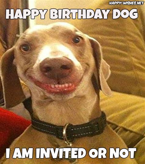 Happy Birthday Wishes For Dog Quotes Images And Memes