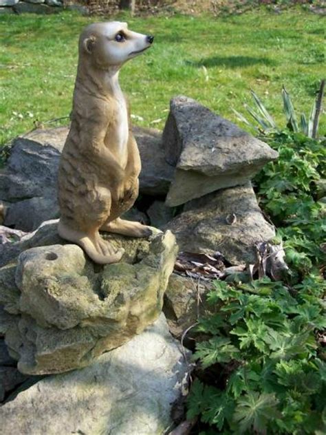Sie haben fragen zu ihrer bestellung oder benötigen beratung? Erdmännchen Garten Figur 30cm kaufen im australien versand ...